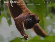 Tablet Screenshot of jasonggoldman.com